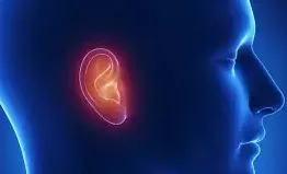 descrizione immagine